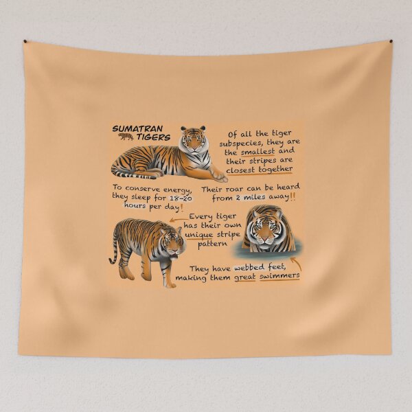 Item preview, Sumatran Tigers Fun Facts designed and sold by troyanthonyart.