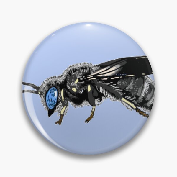 Item preview, Andrenidae - Protandrena spp. designed and sold by PrettyPolistes.
