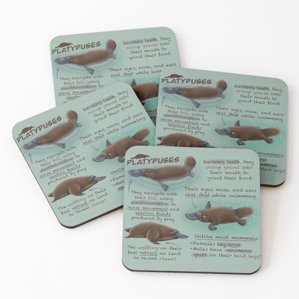 Item preview, Platypuses Fun Facts designed and sold by troyanthonyart.