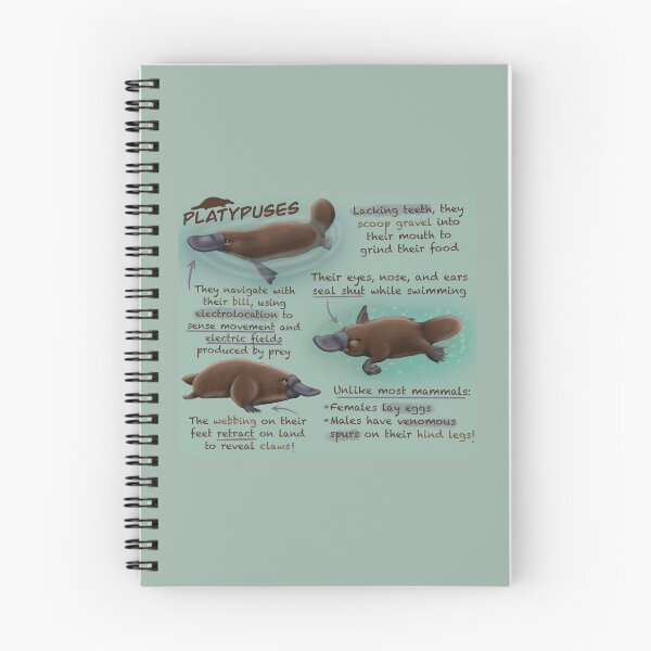 Item preview, Platypuses Fun Facts designed and sold by troyanthonyart.