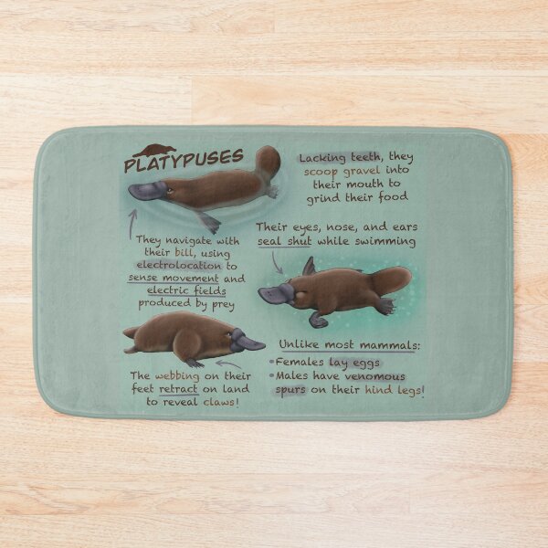 Item preview, Platypuses Fun Facts designed and sold by troyanthonyart.