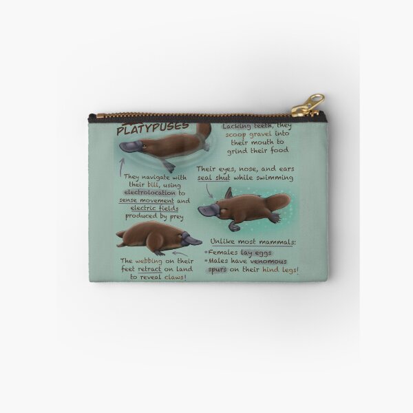Item preview, Platypuses Fun Facts designed and sold by troyanthonyart.