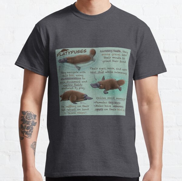 Platypuses Fun Facts Classic T-Shirt