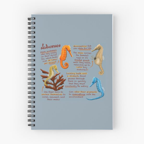 Item preview, Seahorses Fun Facts designed and sold by troyanthonyart.