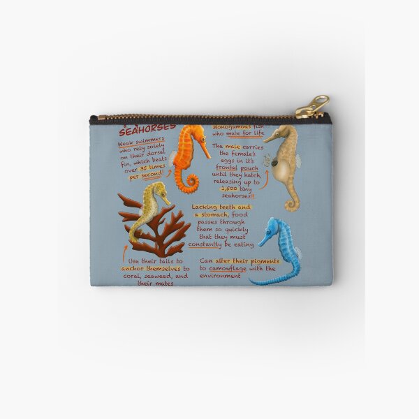 Item preview, Seahorses Fun Facts designed and sold by troyanthonyart.