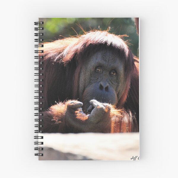 Item preview, Orangutan designed and sold by Jeff Ore.