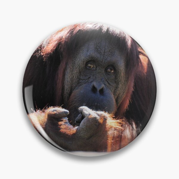 Item preview, Orangutan designed and sold by Jeff Ore.