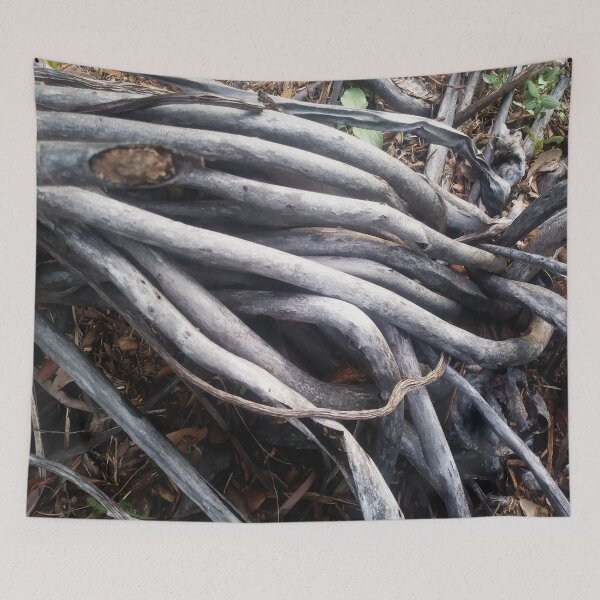 Item preview, Beautiful Tree roots  designed and sold by gloriasd14.