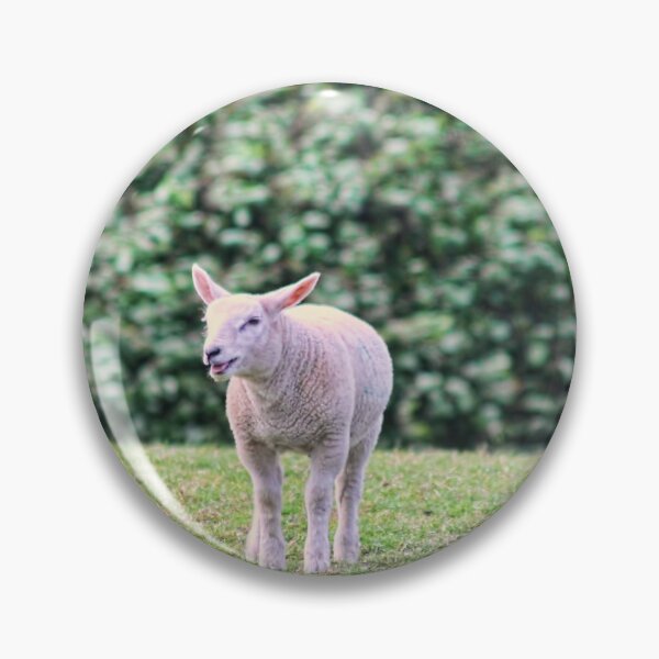 Item preview, sheep designed and sold by KatieWilde04.