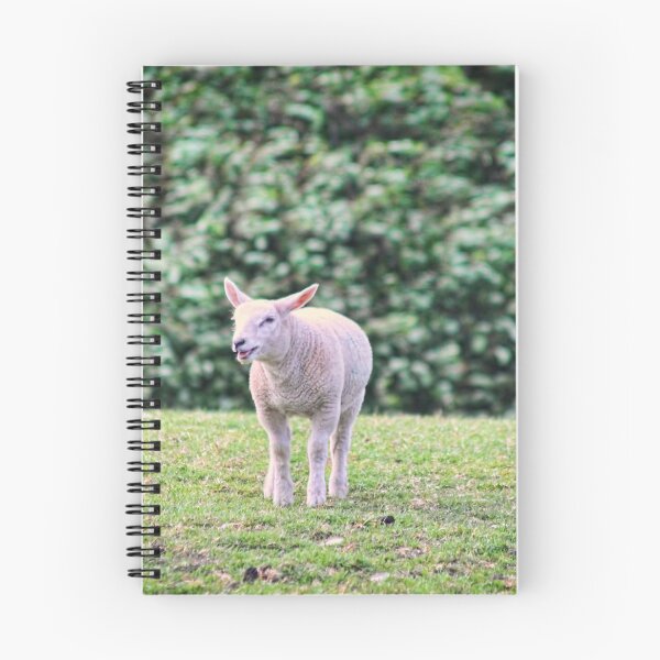 Item preview, sheep designed and sold by KatieWilde04.