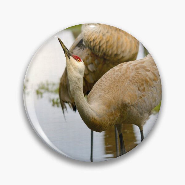 Item preview, Sandhill Crane designed and sold by RichImage.
