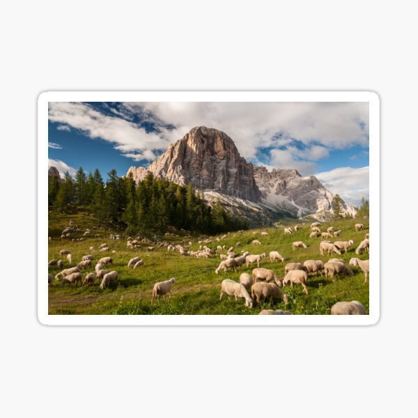 Sheep Sticker