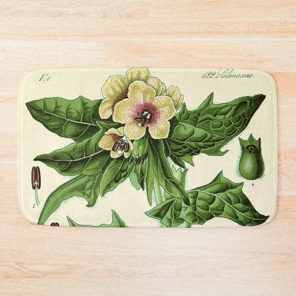 Item preview, hyoscyamus niger (black henbane or stinking nightshade) - Vintage botanical illustration designed and sold by DejaVuStudio.