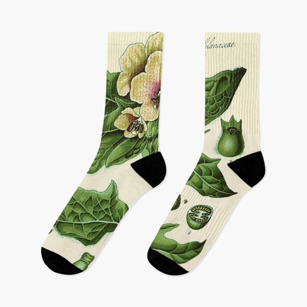 Item preview, hyoscyamus niger (black henbane or stinking nightshade) - Vintage botanical illustration designed and sold by DejaVuStudio.