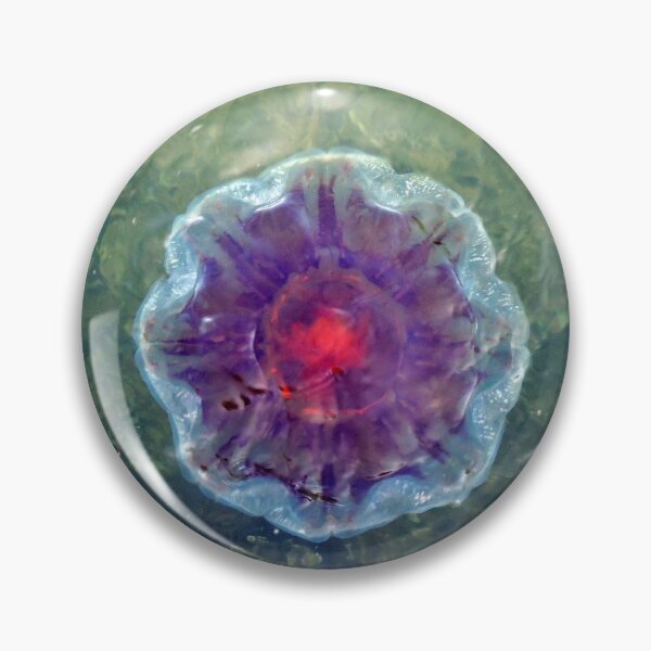 Item preview, Jellyfish designed and sold by NGraham72.