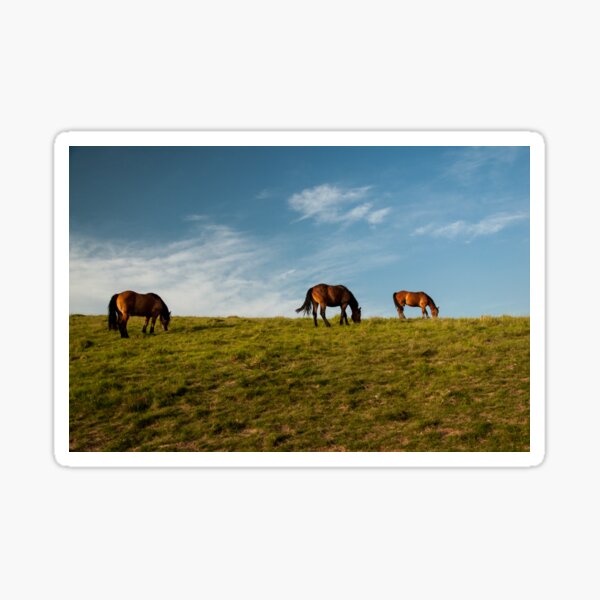 Keep the horses on the grass Sticker