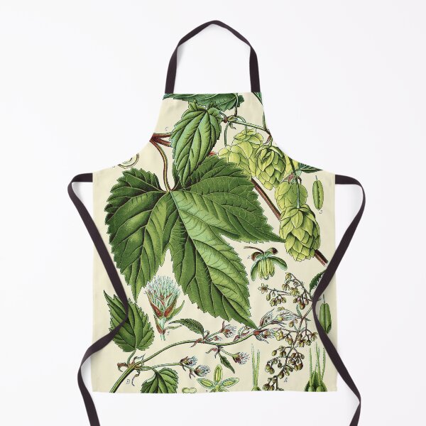 Item preview, Humulus lupulus (common hop or hops) - Vintage botanical illustration designed and sold by DejaVuStudio.
