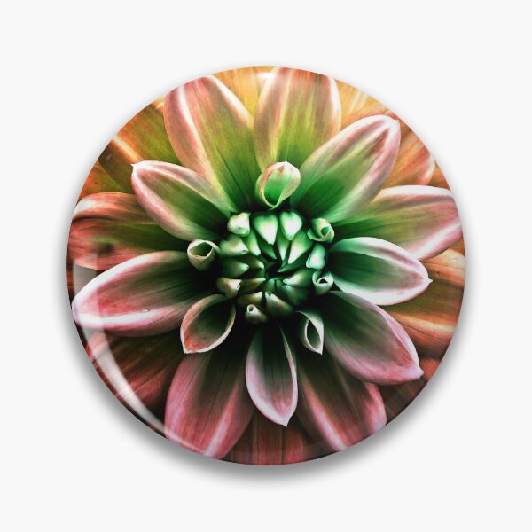 Aperçu de l'œuvre Dahlia Arc-en-Ciel créée et vendue par NGraham72.
