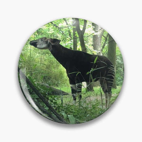 Item preview, Okapi in the Forest designed and sold by Artsyphotos8.