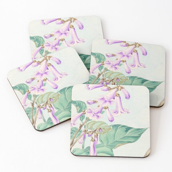 Item preview, Paulownia, Kiri tree  designed and sold by killies.