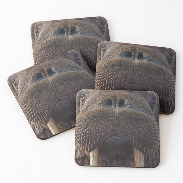 Item preview, Walrus designed and sold by Cheesy06.