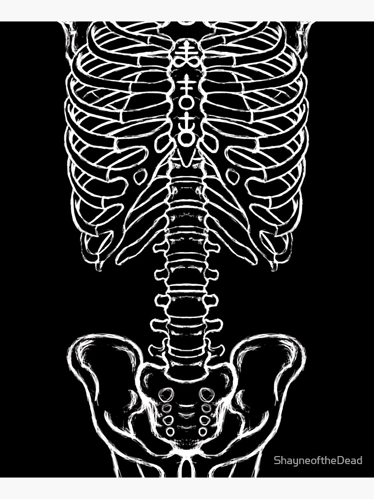 Skeleton by ShayneoftheDead