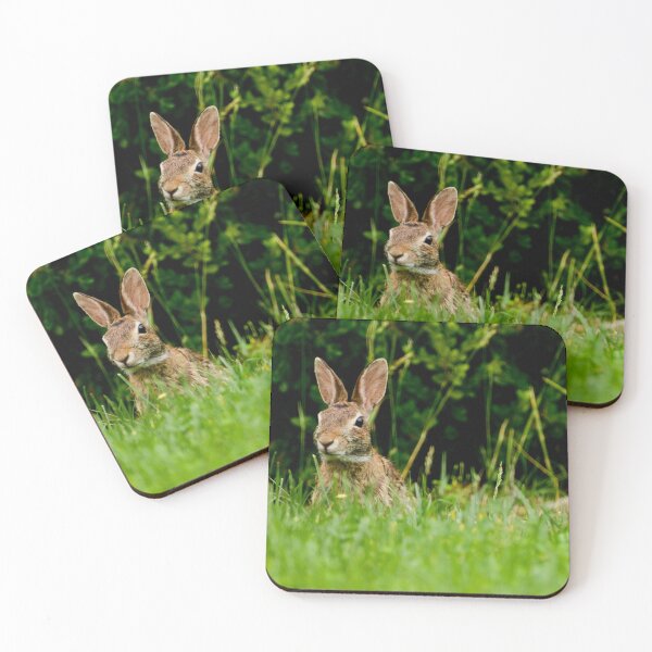 Item preview, Bunny Headshot designed and sold by TinyCameraNinja.
