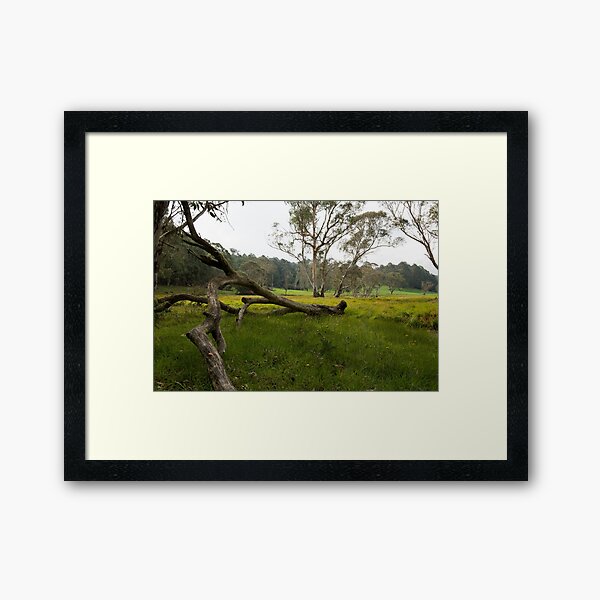 Item preview, Field of Dandelions - an Australian Landscape designed and sold by Barbara Burkhardt.