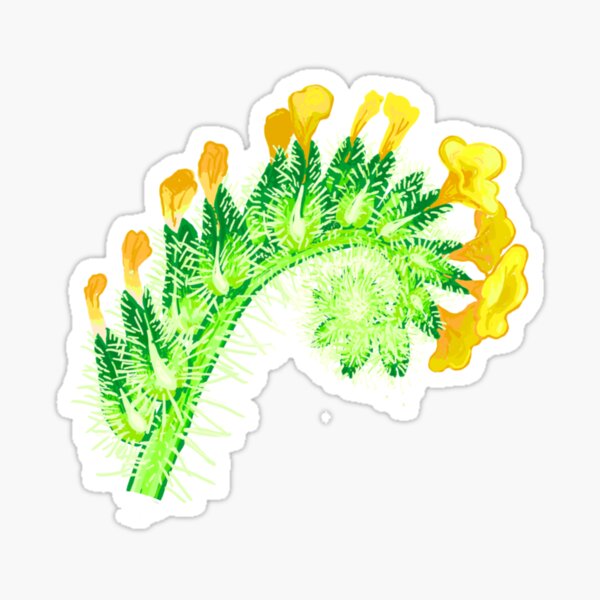 Item preview, Common Fiddleneck - Amsinckia menziesii designed and sold by PrettyPolistes.