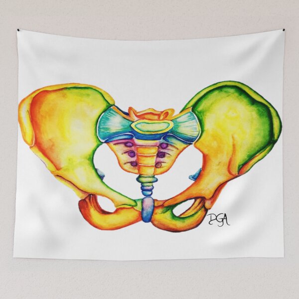 Item preview, Pelvis Anatomy designed and sold by DanielaGaleanoA.