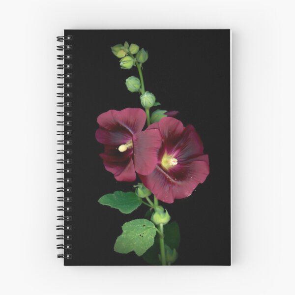 Item preview, Alcea Rosea designed and sold by MazGhani.