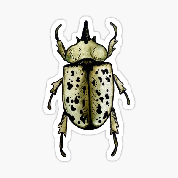 Rhinoceros Beetle Sticker