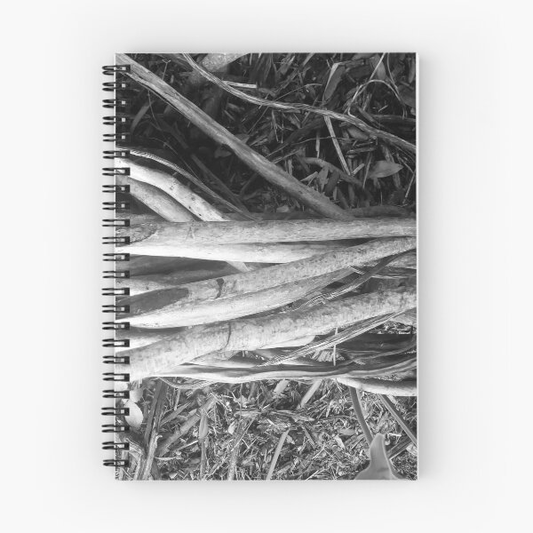 Item preview, Beautiful Tree roots - Black and white designed and sold by gloriasd14.