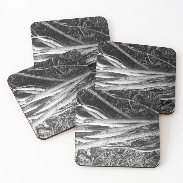 Item preview, Beautiful Tree roots - Black and white designed and sold by gloriasd14.