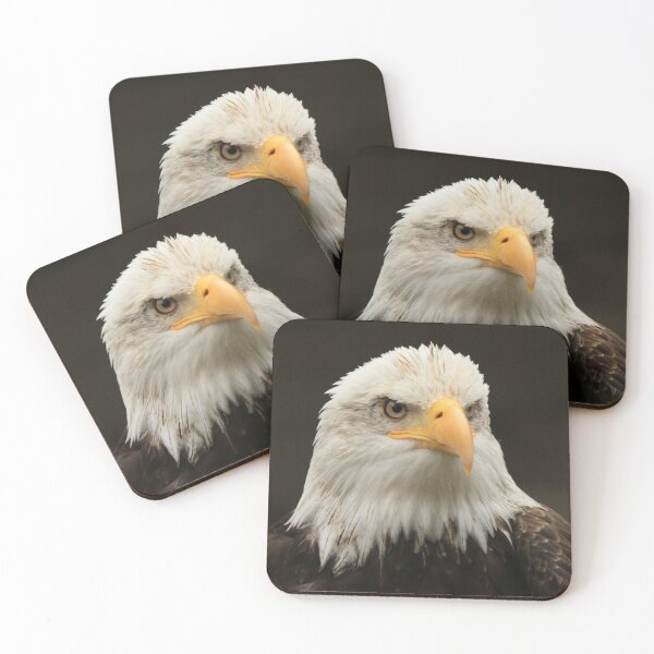 Item preview, American Bald Eagle, Alaska designed and sold by Monika's Shop.