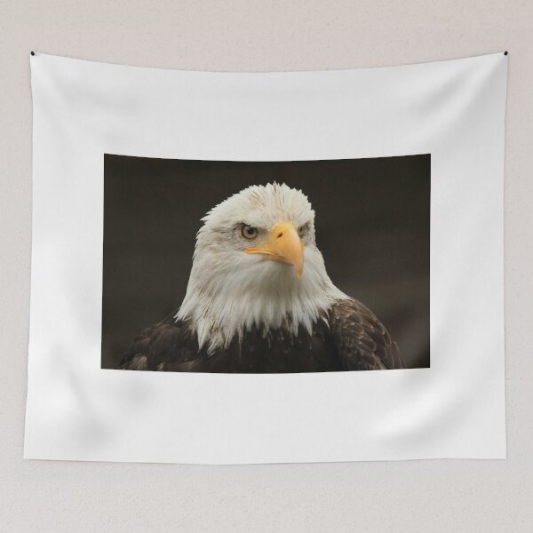 Item preview, American Bald Eagle, Alaska designed and sold by Monika's Shop.