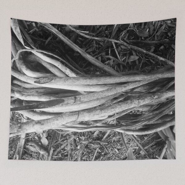 Item preview, Beautiful Tree roots - Black and white designed and sold by gloriasd14.