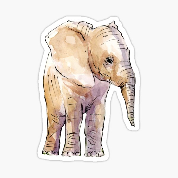 Elephant Sketch no.02 Sticker
