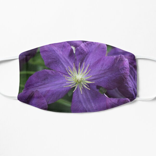 Purple clematis flower Mask
