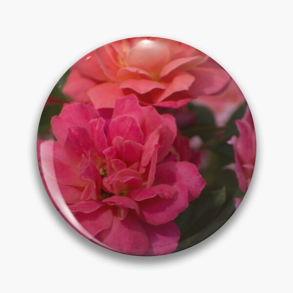 Item preview, Roses on the Bush designed and sold by TinyCameraNinja.