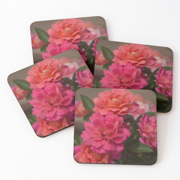 Item preview, Roses on the Bush designed and sold by TinyCameraNinja.