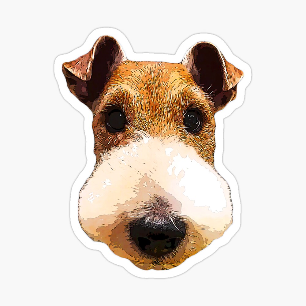 wire fox terrier face