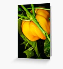 Nature's Edible Gold Greeting Card