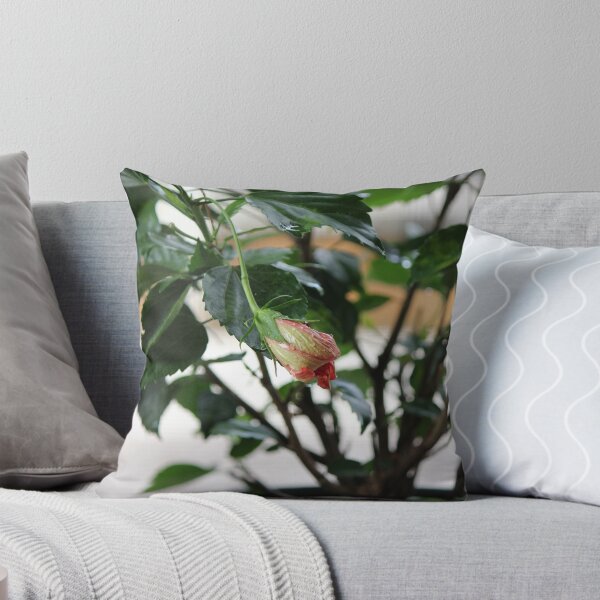 Artikelvorschau, Pink hibiscus flower bud with raindrops entworfen und verkauft von stina-bee.