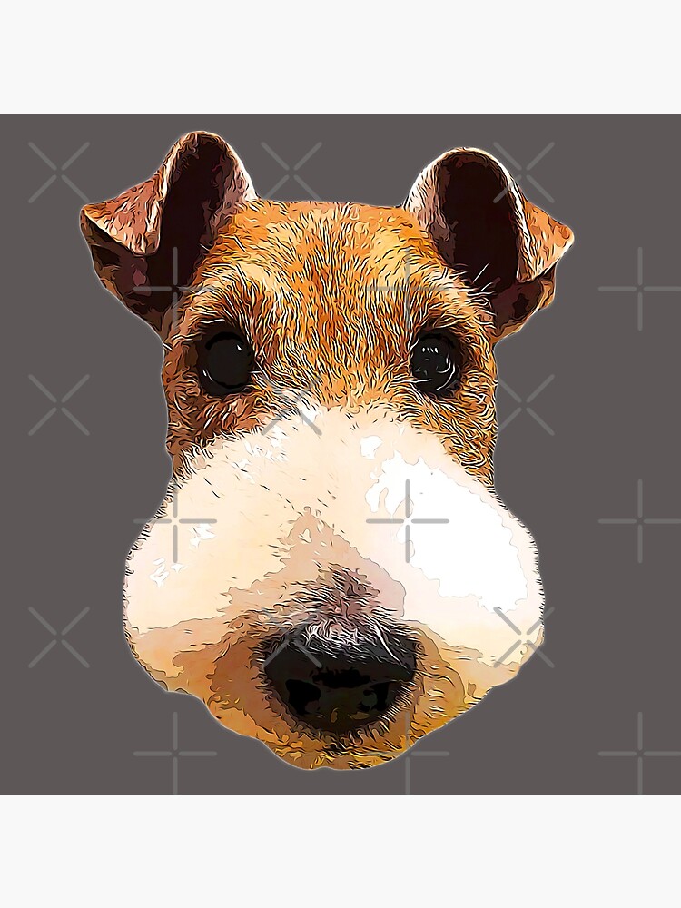 Wire fox hotsell terrier face