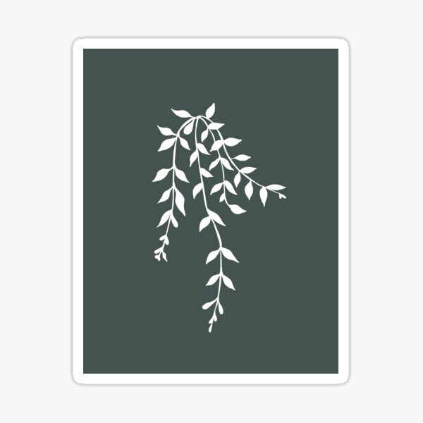 Simple White and Green Vine Plant Illustration Sticker
