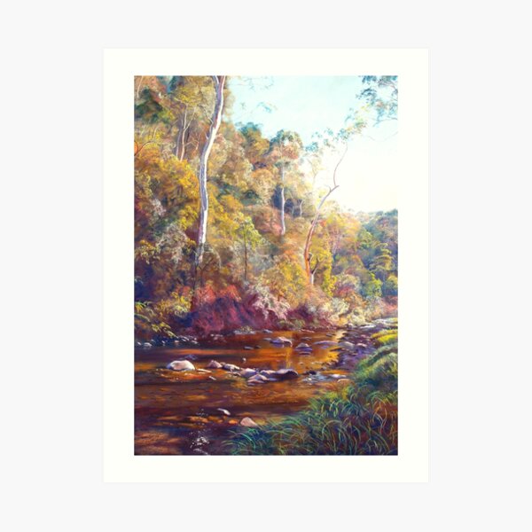 Light on the Howqua Art Print