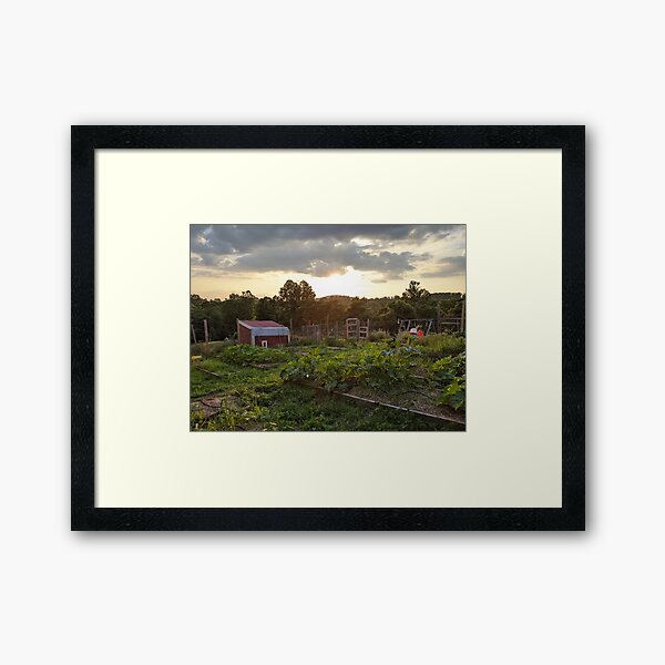 Garden Evening Framed Art Print
