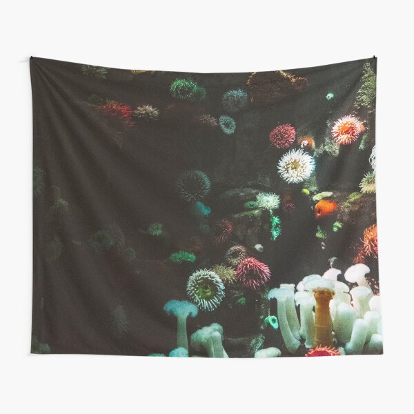 Beauty of underwater Tapestry