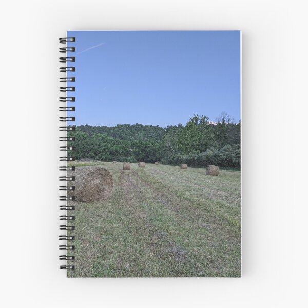 Item preview, Hay in the Field Shot 2 designed and sold by HootenannyPhoto.